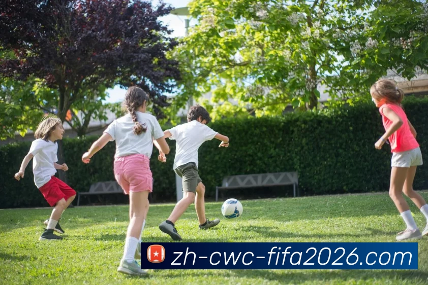 多媒体互动体验