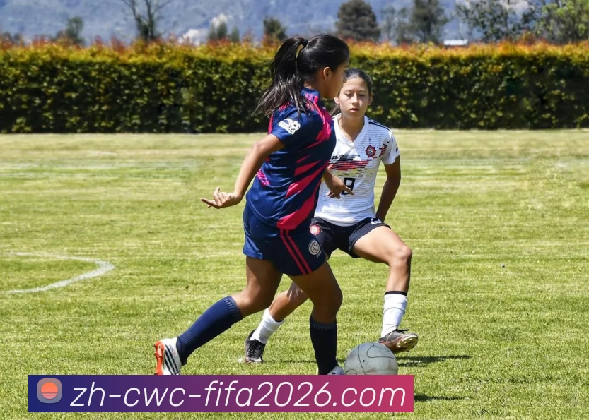 世界杯APP 高清赛事图